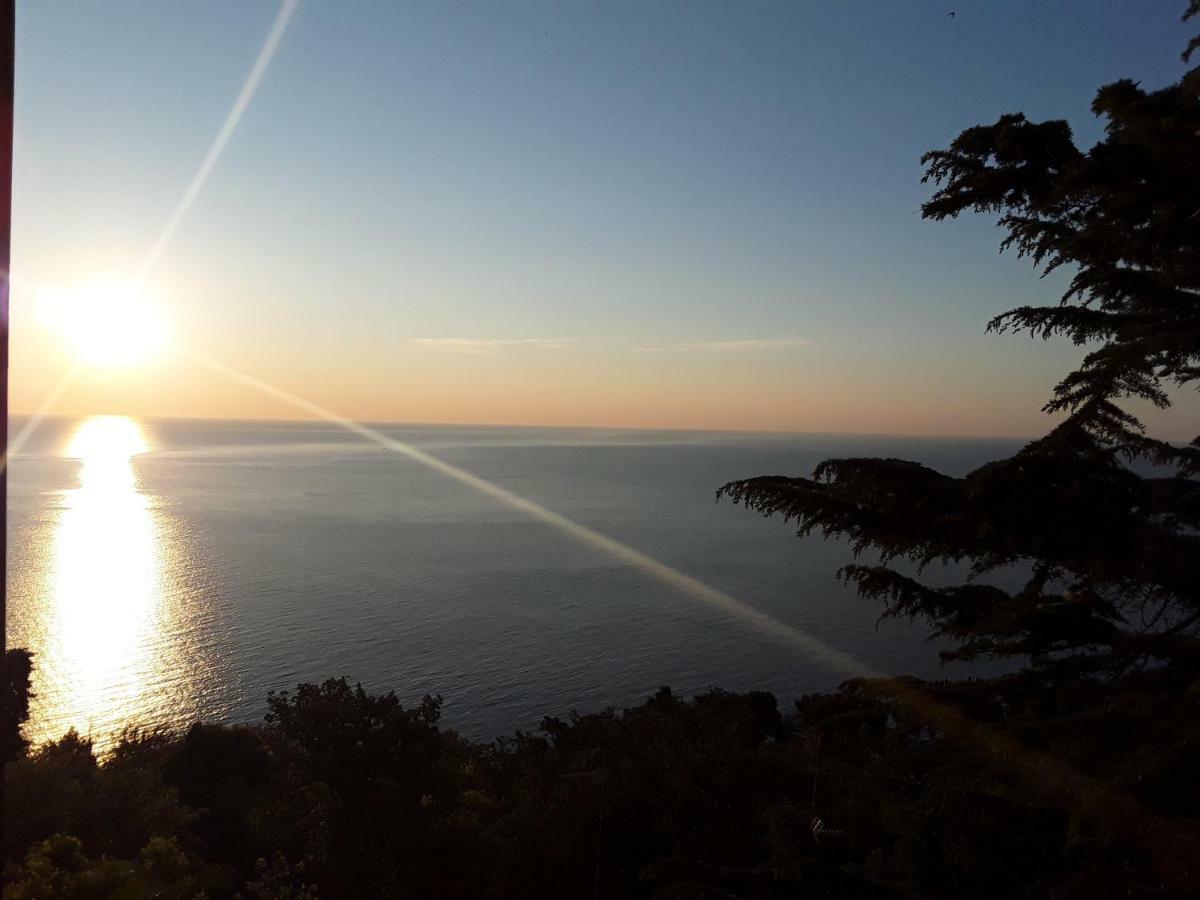 Loft Sul Mare Sirolo Daire Dış mekan fotoğraf