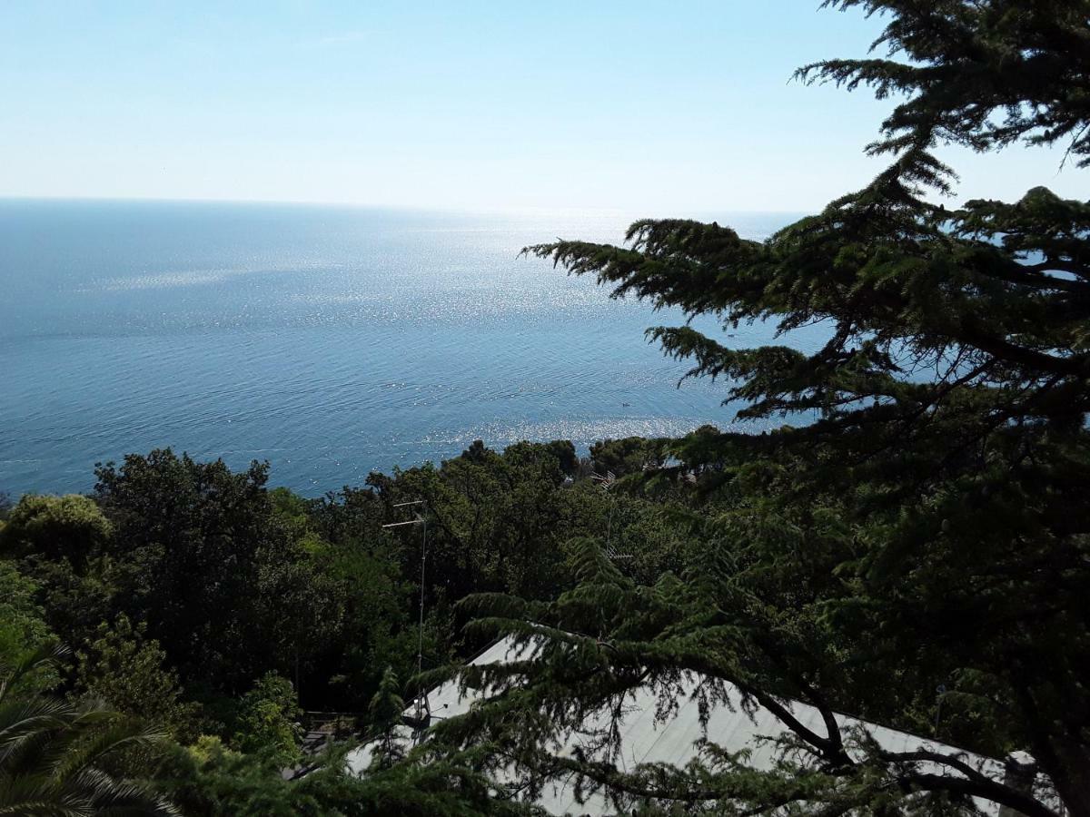 Loft Sul Mare Sirolo Daire Dış mekan fotoğraf