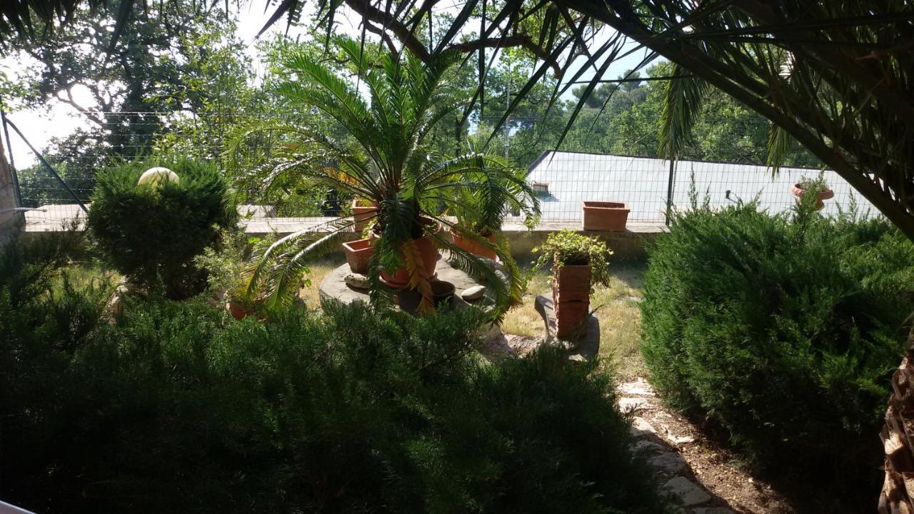 Loft Sul Mare Sirolo Daire Dış mekan fotoğraf